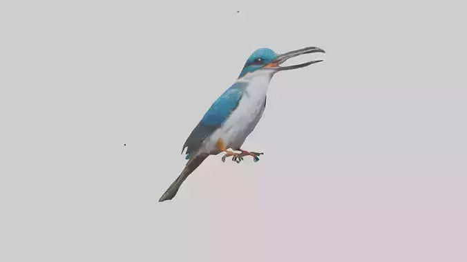 Javan Kingfisher perched model VR / AR / low-poly
