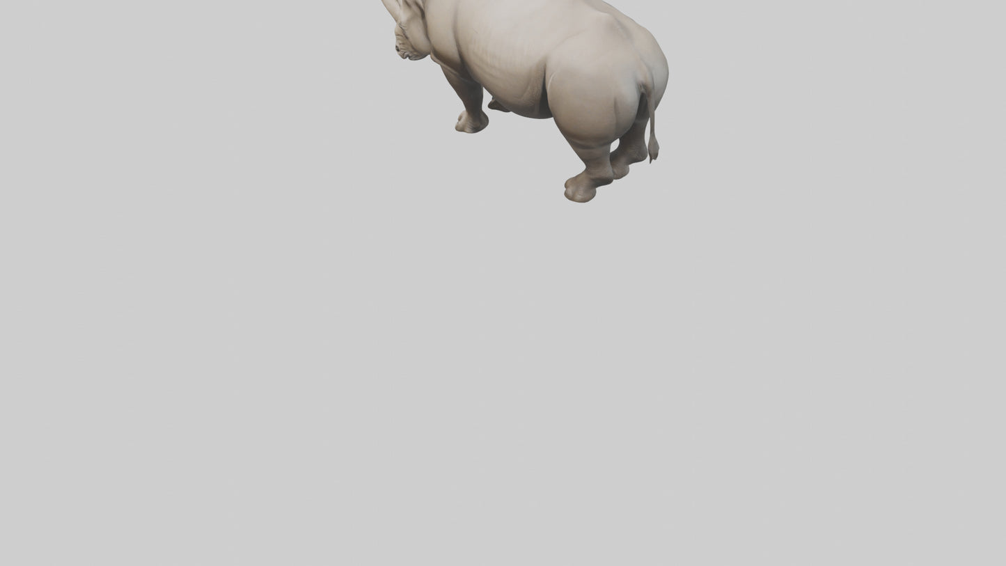 Javan Rhino grazing model VR / AR / low-poly