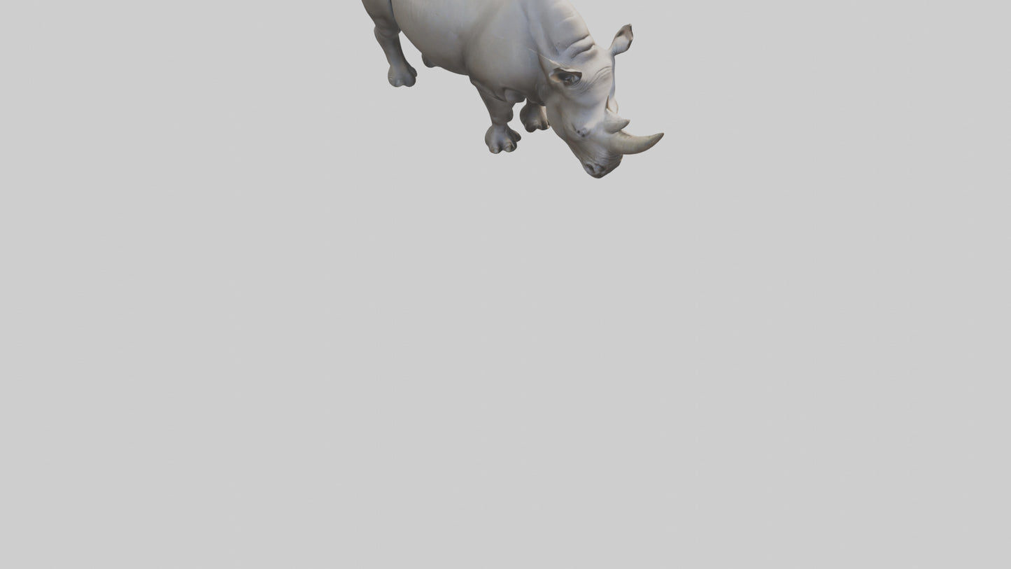 Javan Rhino grazing model VR / AR / low-poly