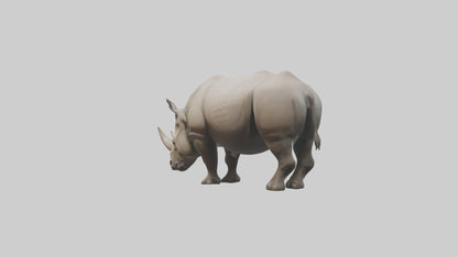 Javan Rhino grazing model VR / AR / low-poly