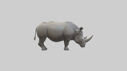 Javan Rhino grazing model VR / AR / low-poly
