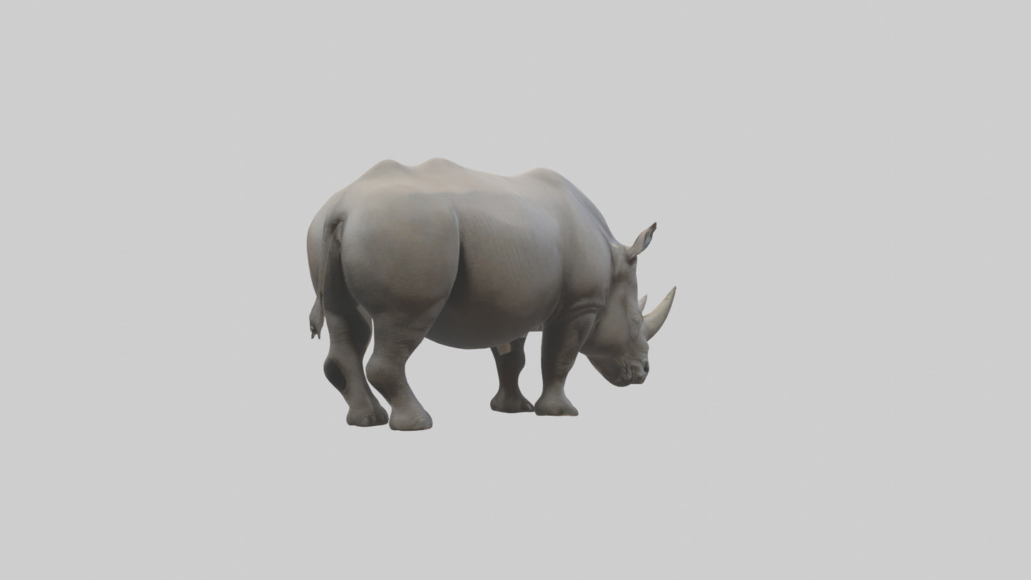Javan Rhino grazing model VR / AR / low-poly
