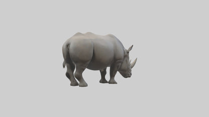 Javan Rhino grazing model VR / AR / low-poly