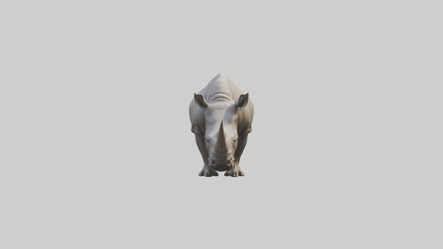 Javan Rhino grazing model VR / AR / low-poly