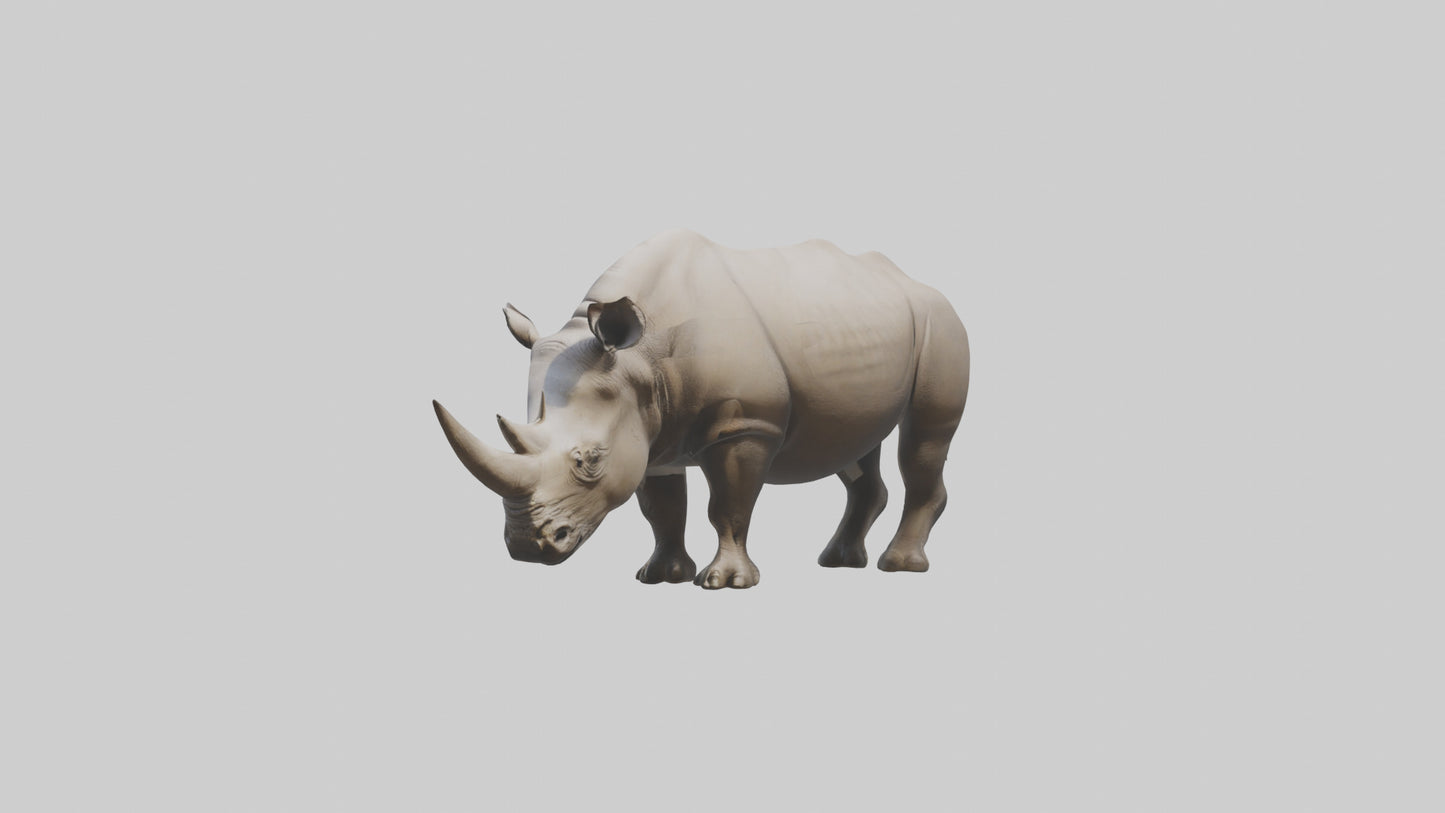 Javan Rhino grazing model VR / AR / low-poly