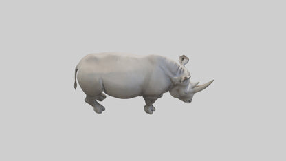 Javan Rhino grazing model VR / AR / low-poly