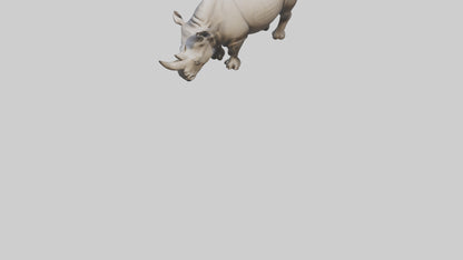 Javan Rhino grazing model VR / AR / low-poly