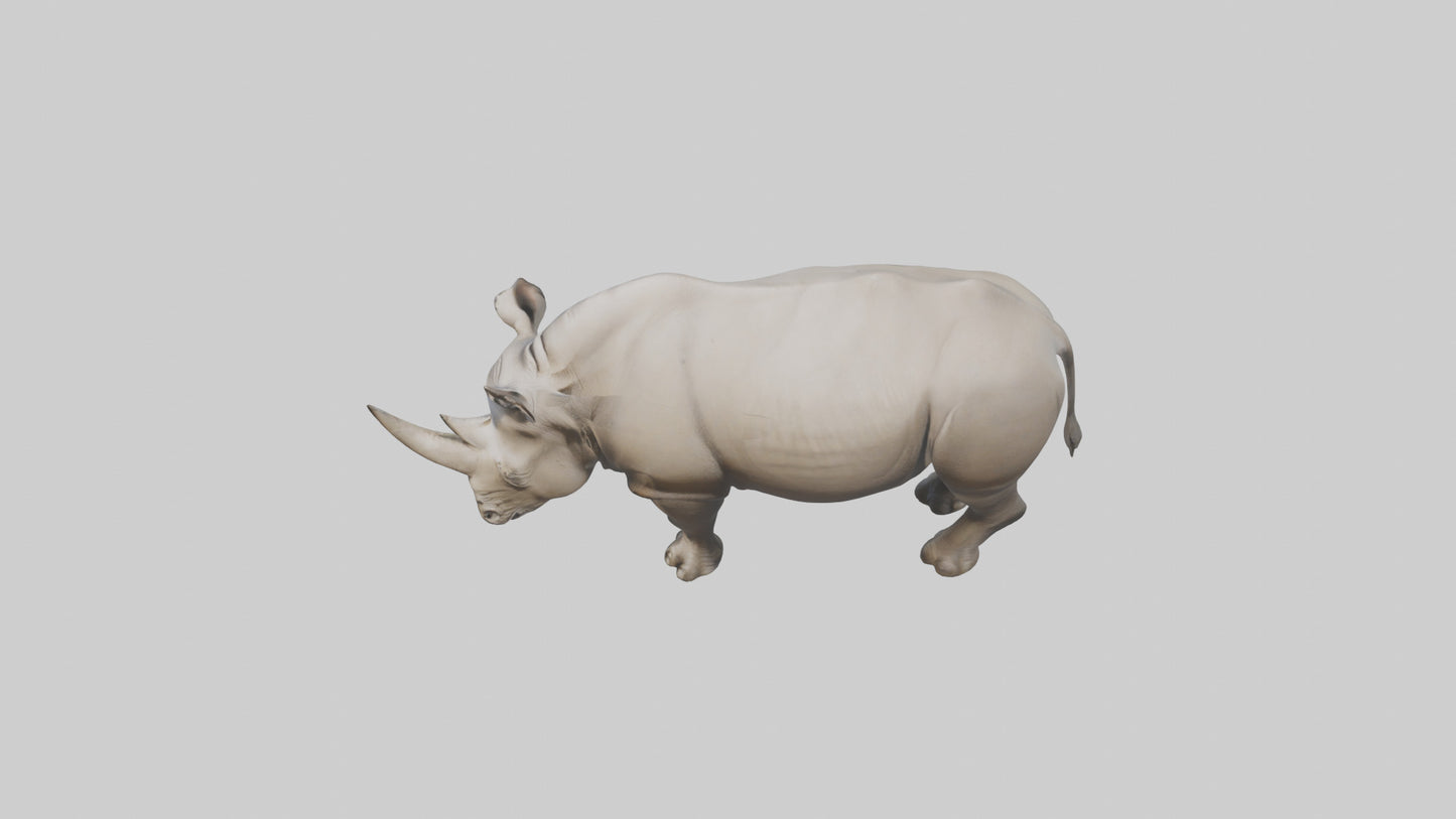 Javan Rhino grazing model VR / AR / low-poly