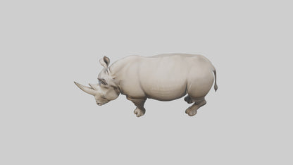 Javan Rhino grazing model VR / AR / low-poly