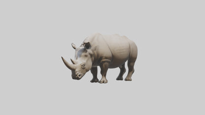 Javan Rhino grazing model VR / AR / low-poly