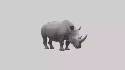 Javan Rhino grazing model VR / AR / low-poly