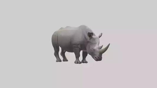 Javan Rhino grazing model VR / AR / low-poly