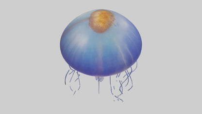3D model Jellyfish floating model VR / AR / low-poly