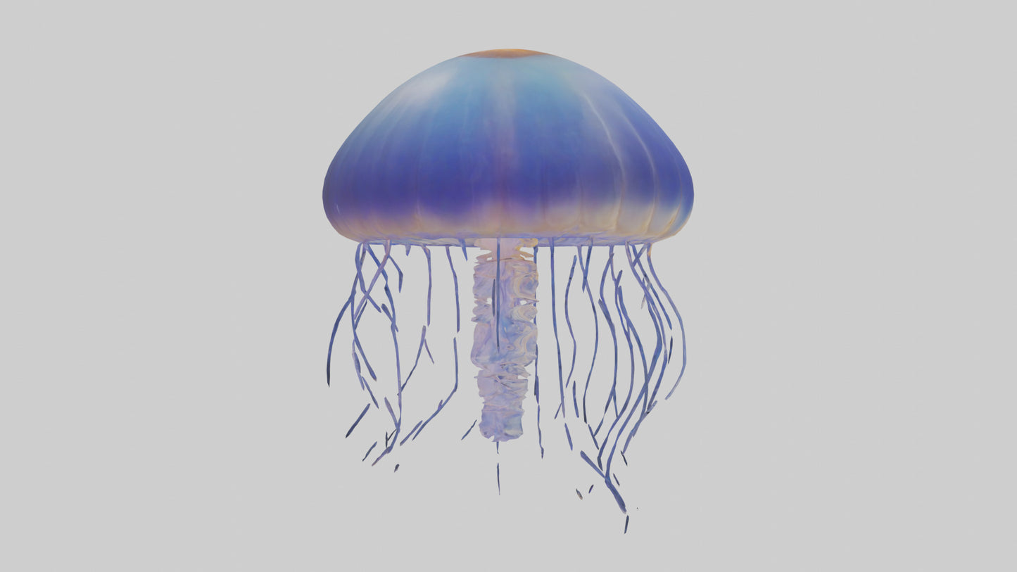 3D model Jellyfish floating model VR / AR / low-poly