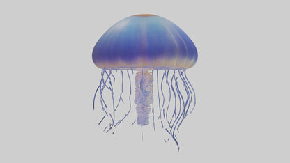 3D model Jellyfish floating model VR / AR / low-poly