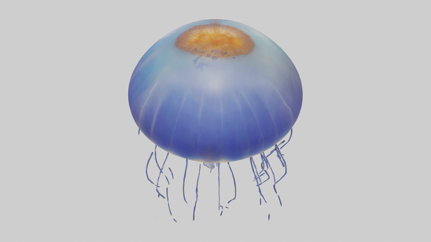 3D model Jellyfish floating model VR / AR / low-poly