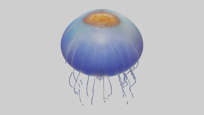 3D model Jellyfish floating model VR / AR / low-poly