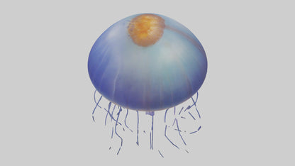 3D model Jellyfish floating model VR / AR / low-poly