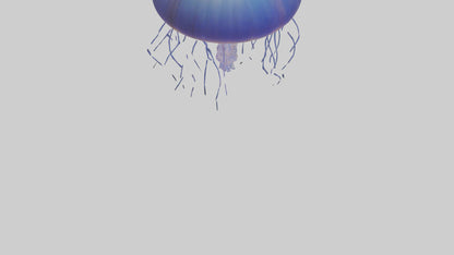 3D model Jellyfish floating model VR / AR / low-poly