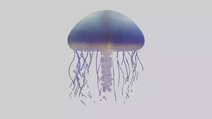 3D model Jellyfish floating model VR / AR / low-poly