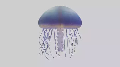 3D model Jellyfish floating model VR / AR / low-poly