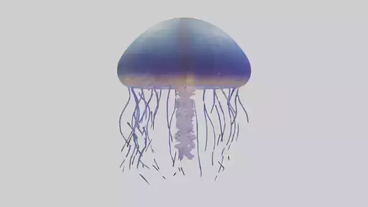 3D model Jellyfish floating model VR / AR / low-poly