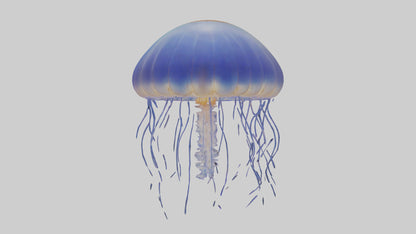 3D model Jellyfish floating model VR / AR / low-poly