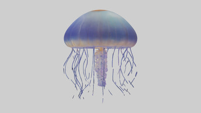 3D model Jellyfish floating model VR / AR / low-poly