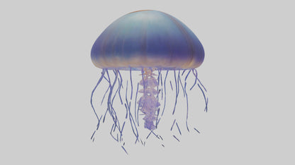 3D model Jellyfish floating model VR / AR / low-poly