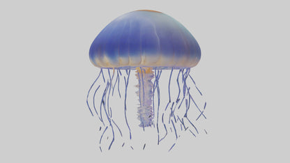 3D model Jellyfish floating model VR / AR / low-poly