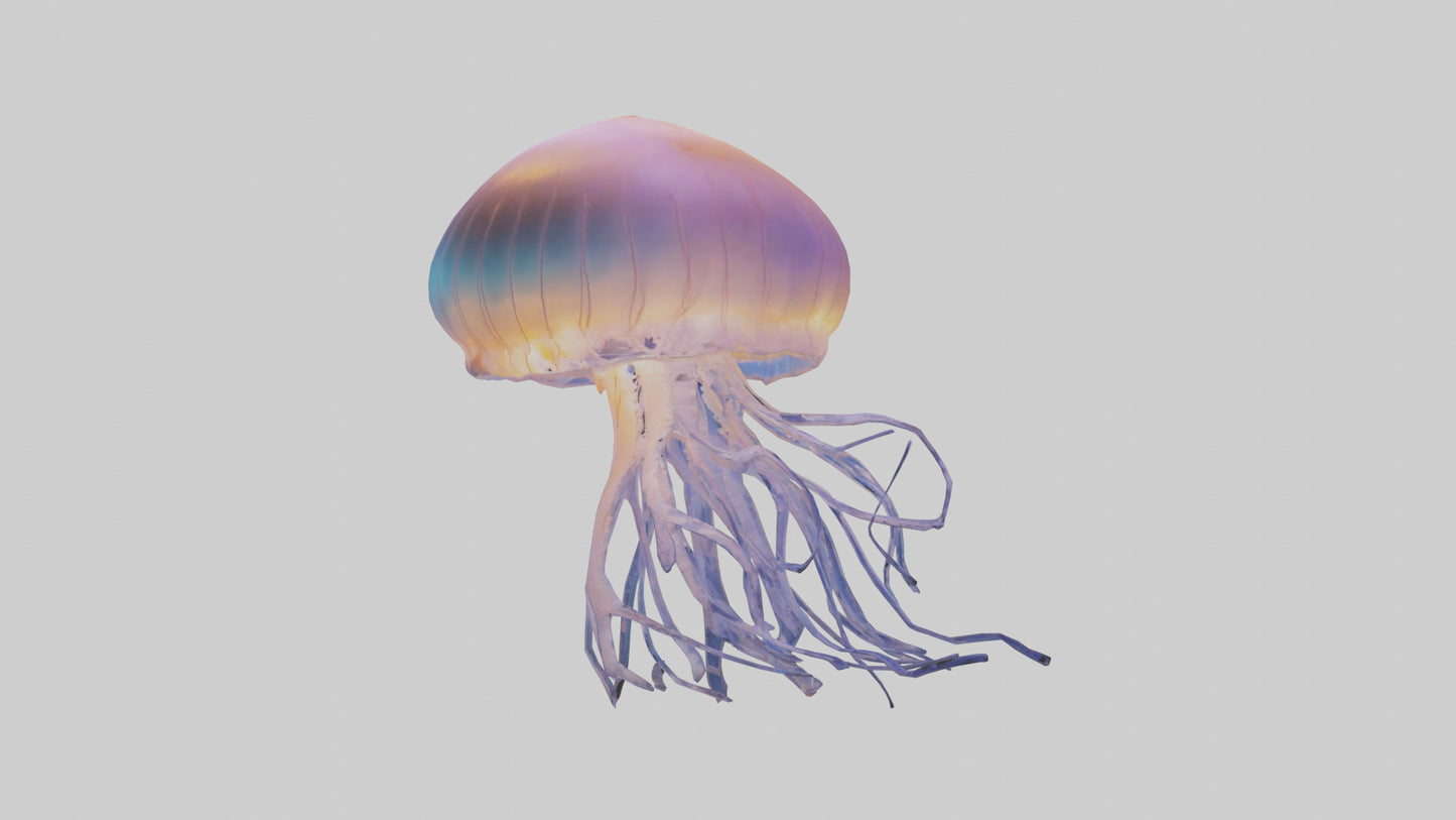 Jellyfish glowing underwater model VR / AR / low-poly