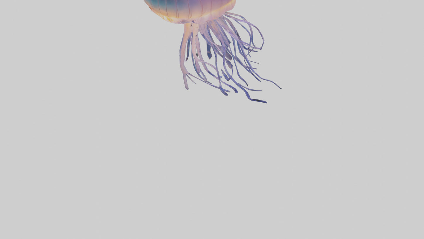 Jellyfish glowing underwater model VR / AR / low-poly