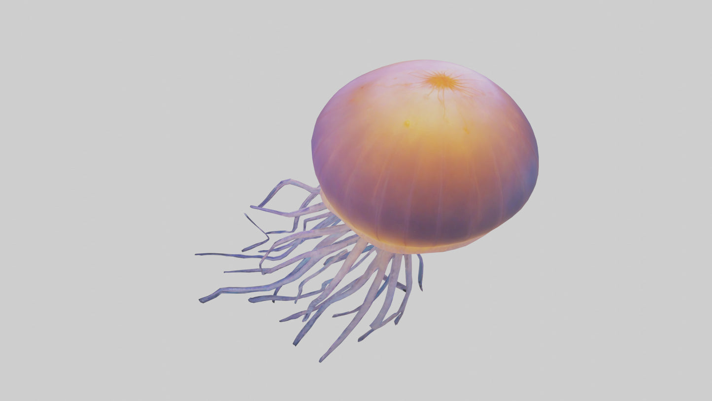 Jellyfish glowing underwater model VR / AR / low-poly
