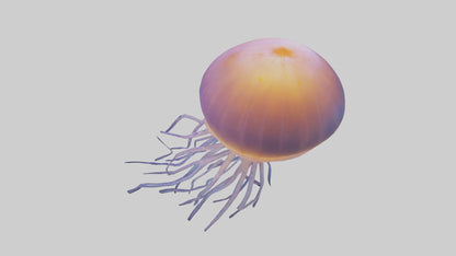 Jellyfish glowing underwater model VR / AR / low-poly