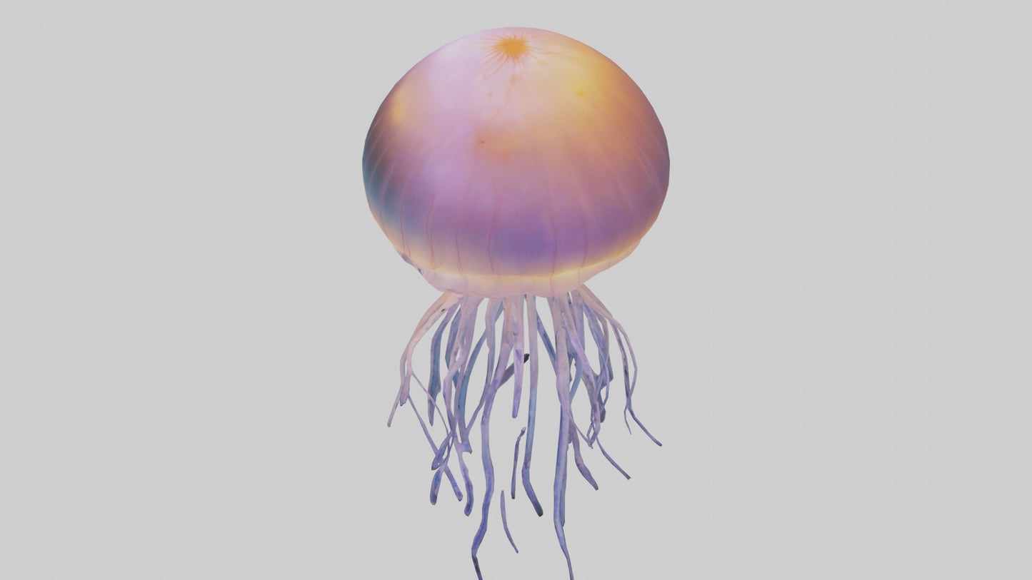 Jellyfish glowing underwater model VR / AR / low-poly