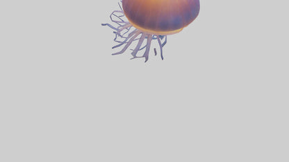 Jellyfish glowing underwater model VR / AR / low-poly