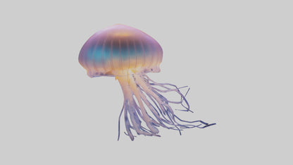 Jellyfish glowing underwater model VR / AR / low-poly
