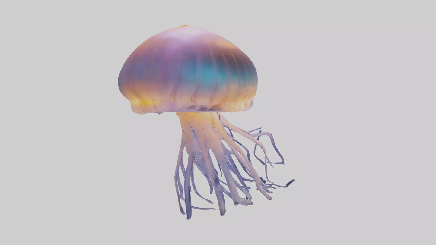 Jellyfish glowing underwater model VR / AR / low-poly