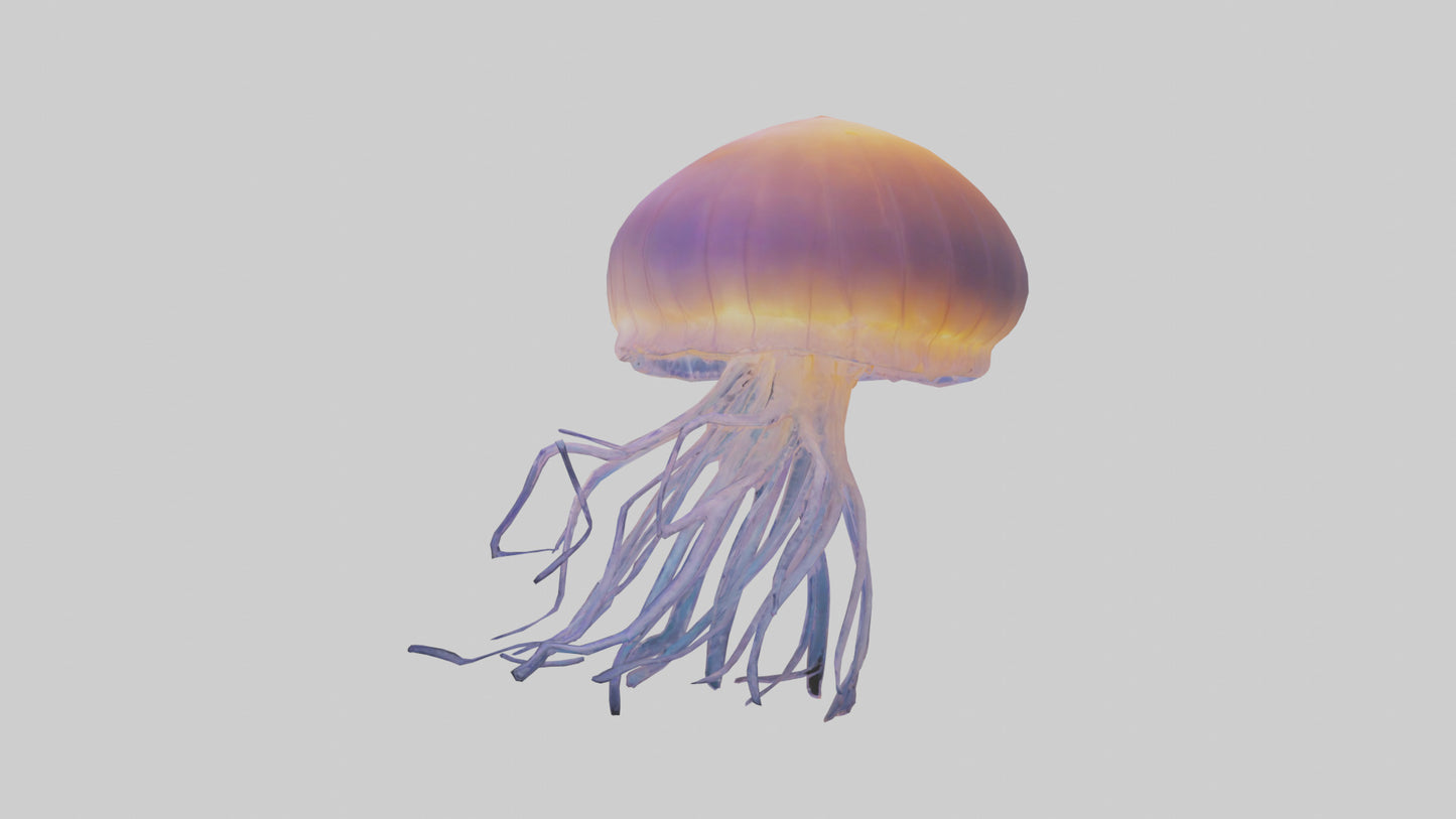 Jellyfish glowing underwater model VR / AR / low-poly