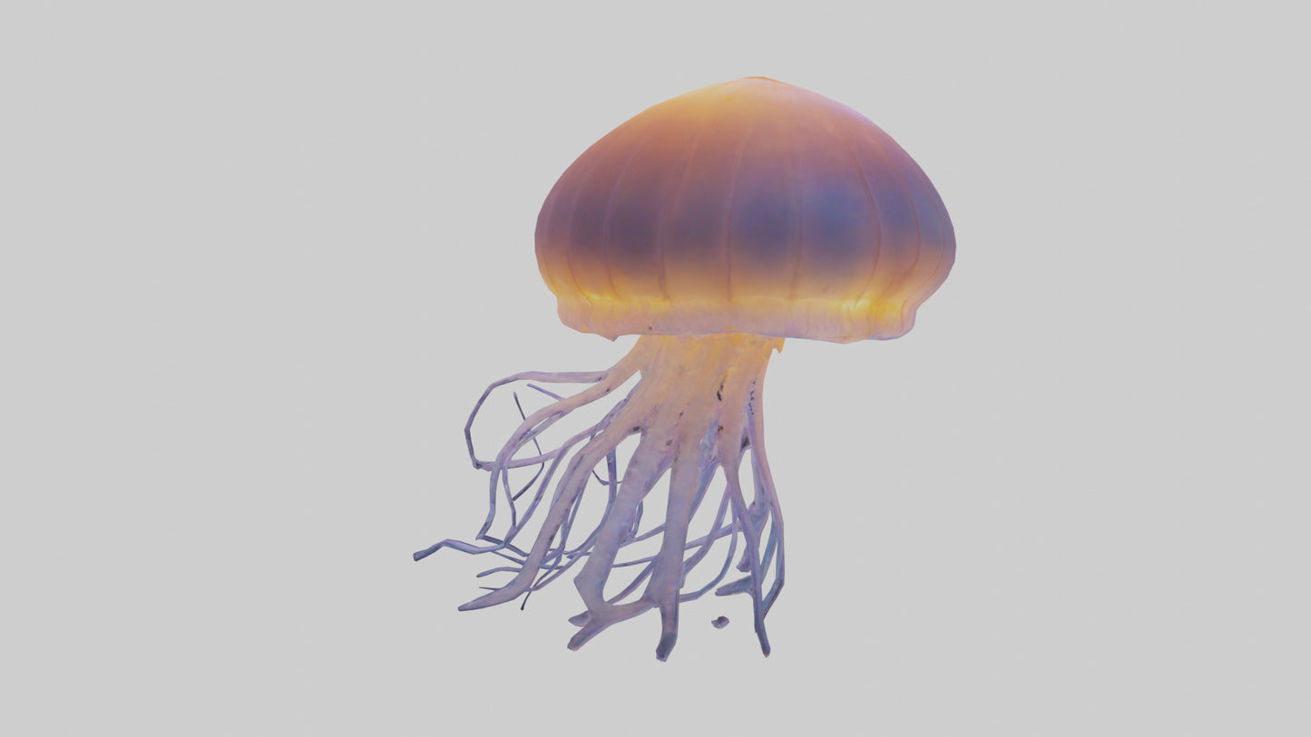 Jellyfish glowing underwater model VR / AR / low-poly