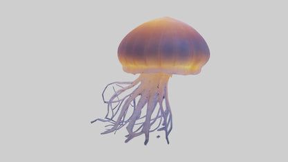 Jellyfish glowing underwater model VR / AR / low-poly