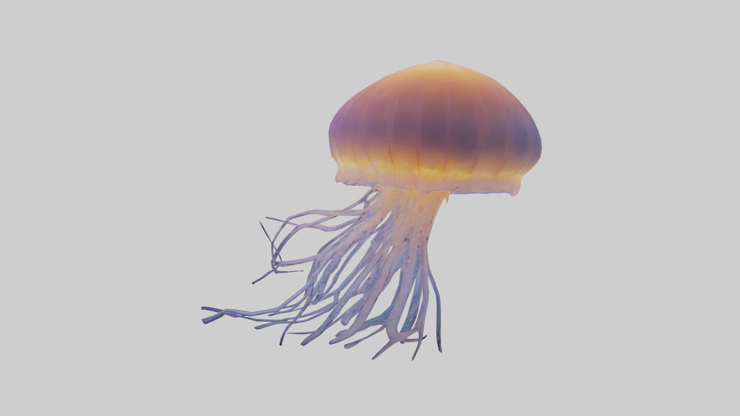Jellyfish glowing underwater model VR / AR / low-poly
