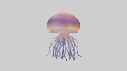 Jellyfish glowing underwater model VR / AR / low-poly