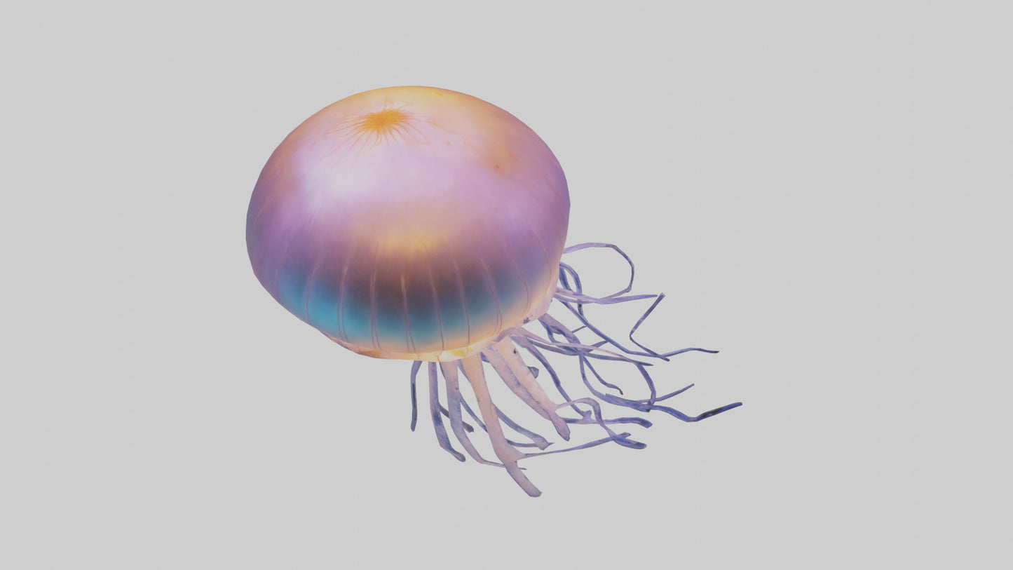 Jellyfish glowing underwater model VR / AR / low-poly