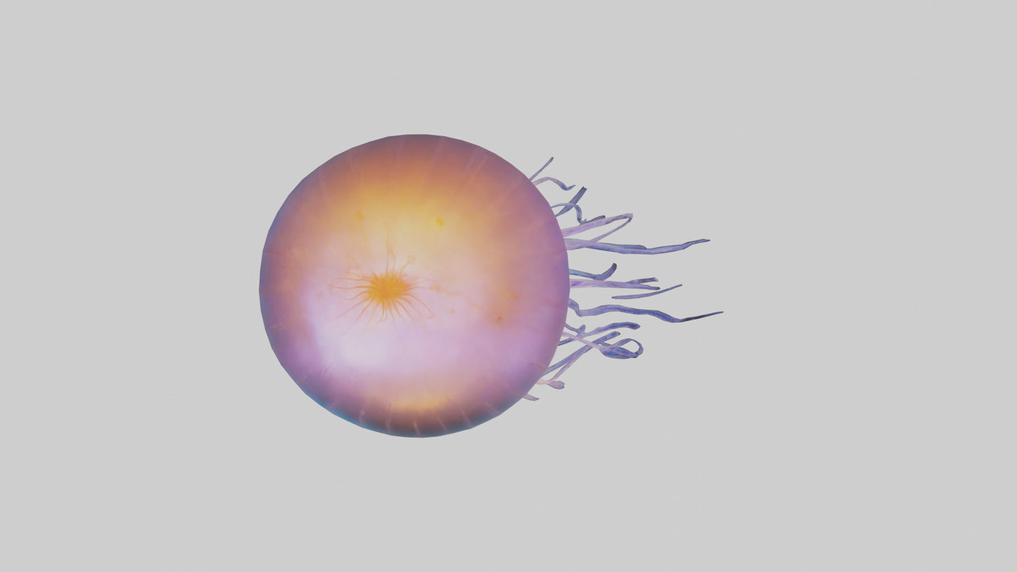 Jellyfish glowing underwater model VR / AR / low-poly