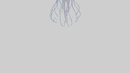 3D model Jellyfish Skeleton model VR / AR / low-poly