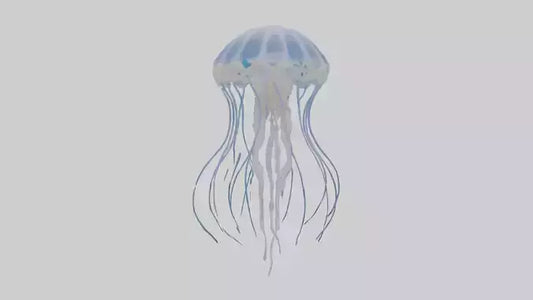 3D model Jellyfish Skeleton model VR / AR / low-poly