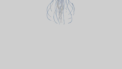 3D model Jellyfish Skeleton model VR / AR / low-poly