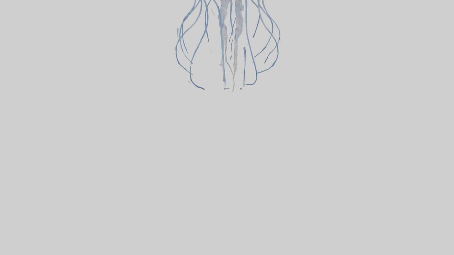 3D model Jellyfish Skeleton model VR / AR / low-poly