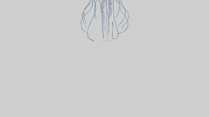 3D model Jellyfish Skeleton model VR / AR / low-poly